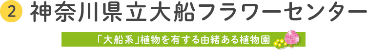 2 神奈川県立大船フラワーセンター 「大船系」植物を有する由緒ある植物園