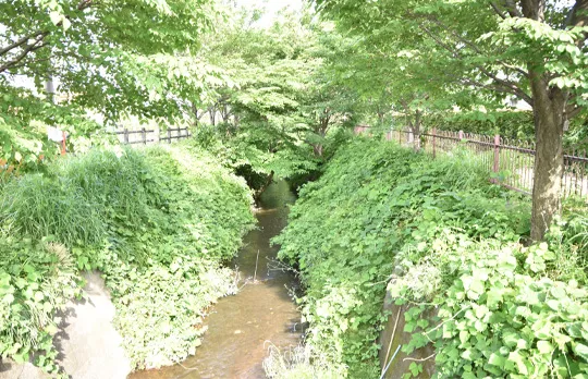 國學院大學久我山中学高等学校の教育の写真