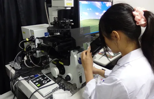 雲雀丘学園中学校・高等学校の教育の写真
