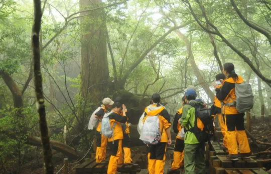 関西大倉中学校・高等学校の教育の写真