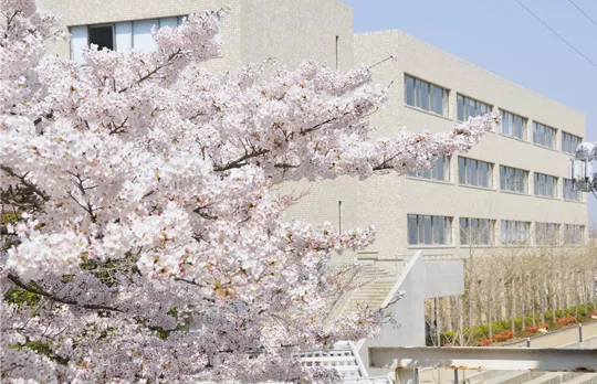 甲南高等学校・中学校の教育の写真