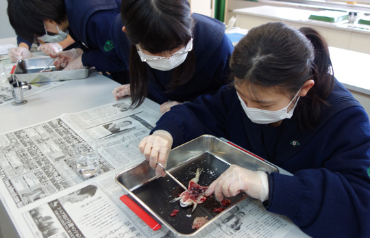 大谷中学校・高等学校（大阪）の教育の写真
